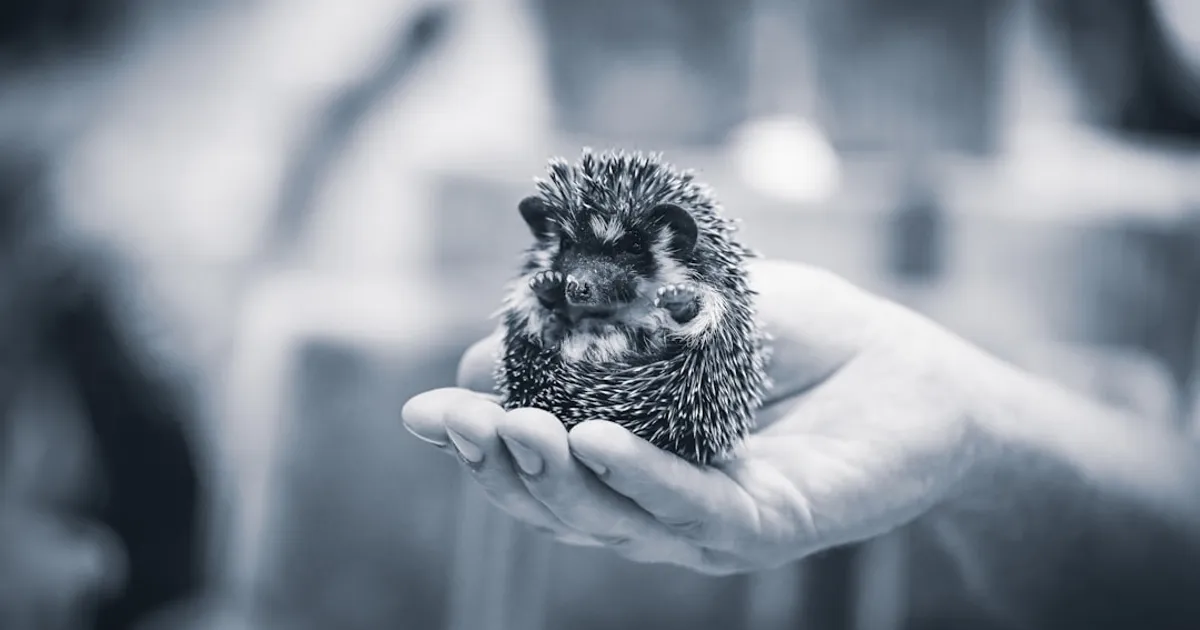 Hedgehog AI tackles ArXiv's jargon problem