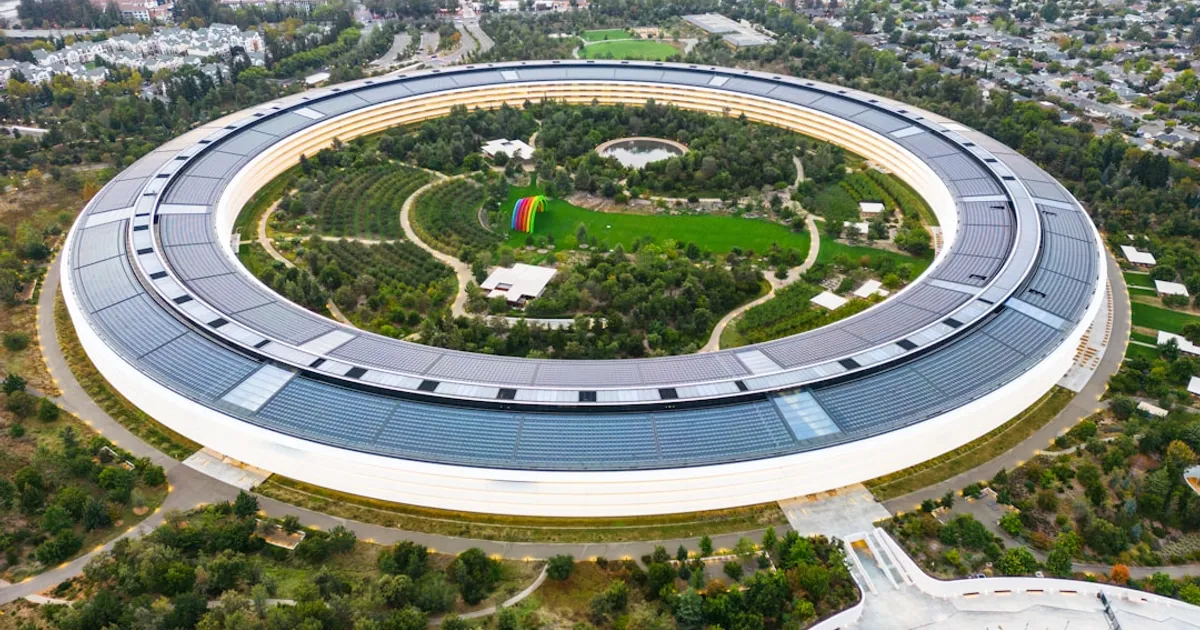 Newport to AI: Figure Out What You Actually Do